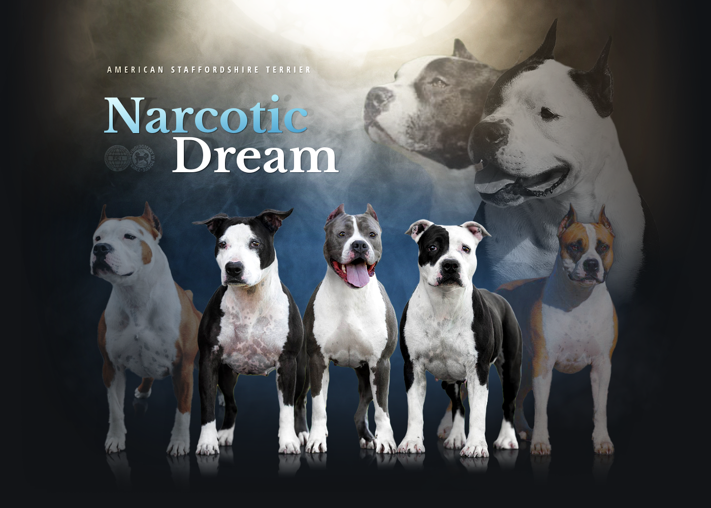 Narcotic Dream - intro picture
